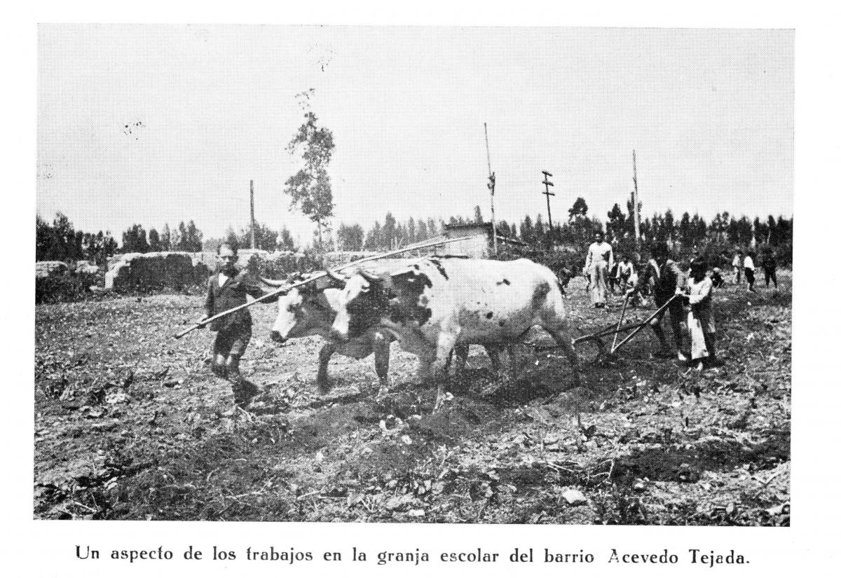 Registro Municipal 1934. Pag32-1Un aspecto de los trabajadoresen la granja.jpg