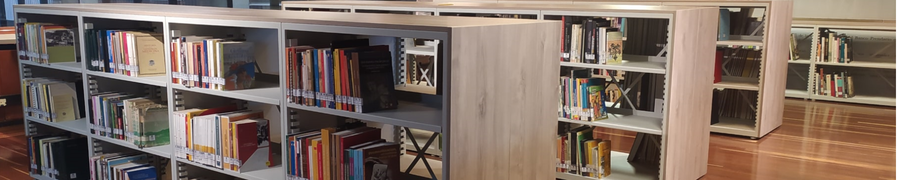 Colección bibliográfica y hemerográfica