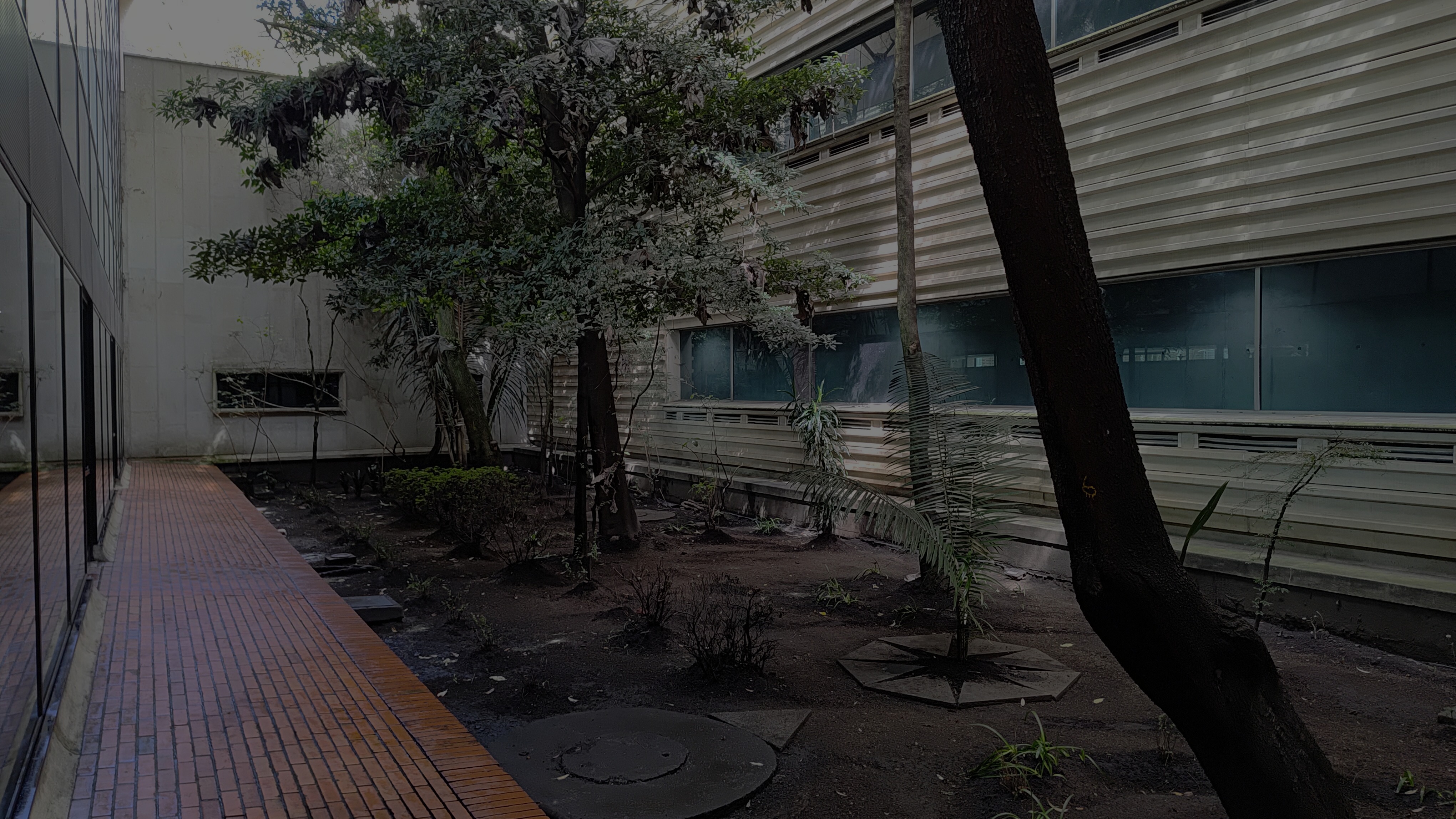 Archivo