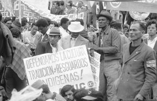 manifestaciones