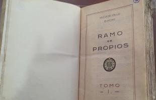 Ramo de propios