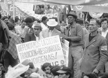 manifestaciones